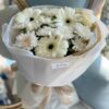 Hoa cúc trắng