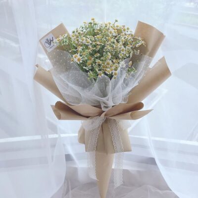 Thạch Thảo Mộng Mơ