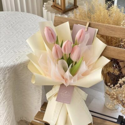 Hoa Tulip Tươi