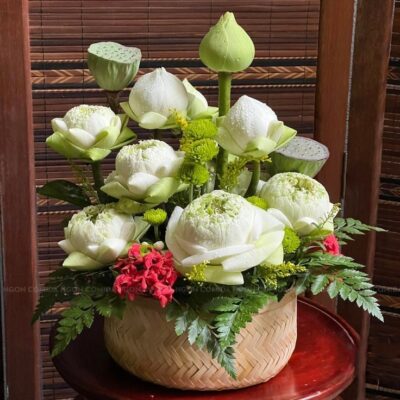 Sen Trắng Dâng Lễ - Nguyện Ước An Yên