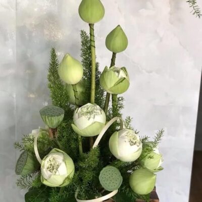 Sen Sen Trắng Dâng Lễ - Dâng Trọn Ân Tình
