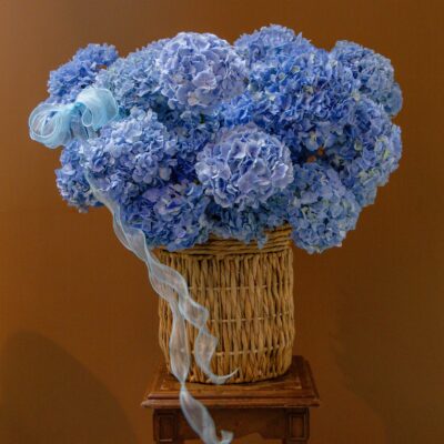 Dreaming Azure